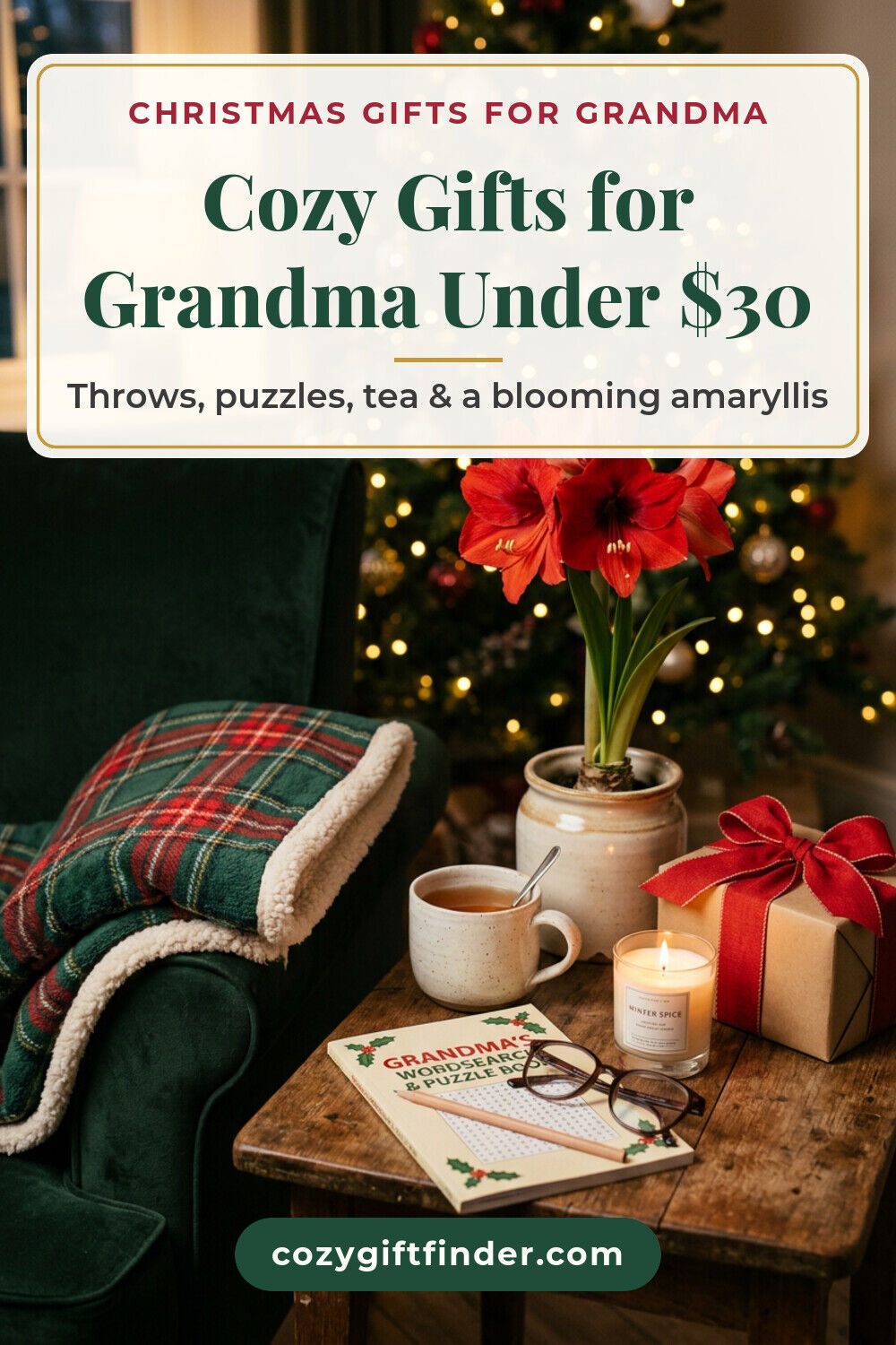 Pinterest pin reading Cozy Gifts for Grandma Under $30: a plaid throw, a red amaryllis, tea and a puzzle book by a Christmas tree